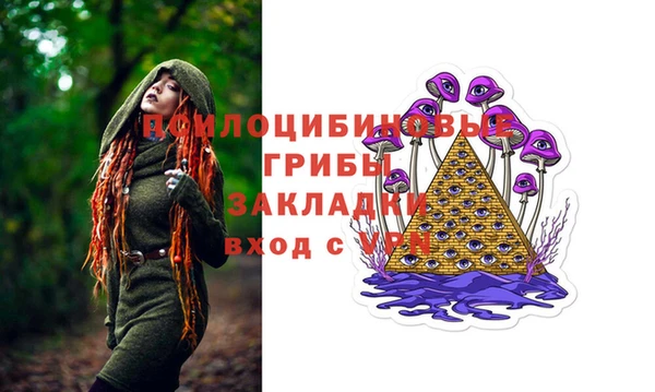 дживик Дмитров
