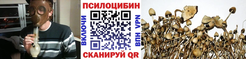 дарк нет состав  где можно купить наркотик  blacksprut ONION  Красноармейск  Псилоцибиновые грибы Magic Shrooms 