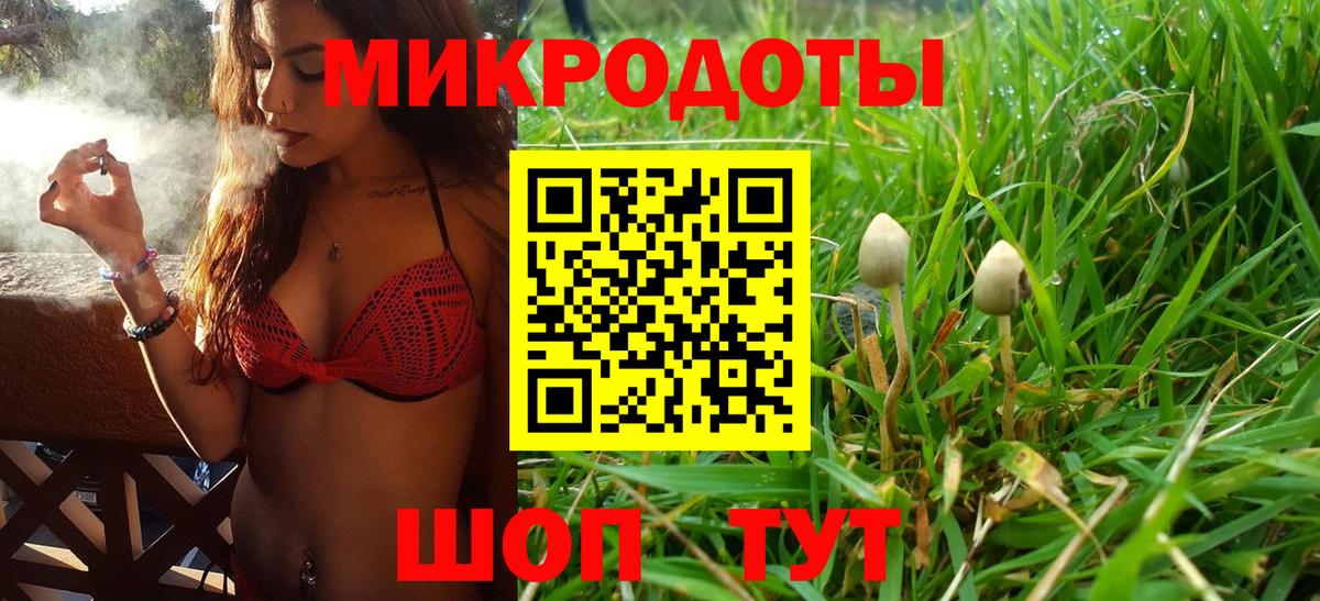 Псилоцибиновые грибы Magic Shrooms Красноармейск